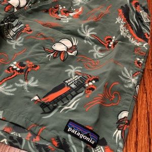 Patagonia Baggies “C Street”